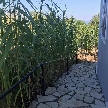 别墅 Artemis 费斯卡尔德宏